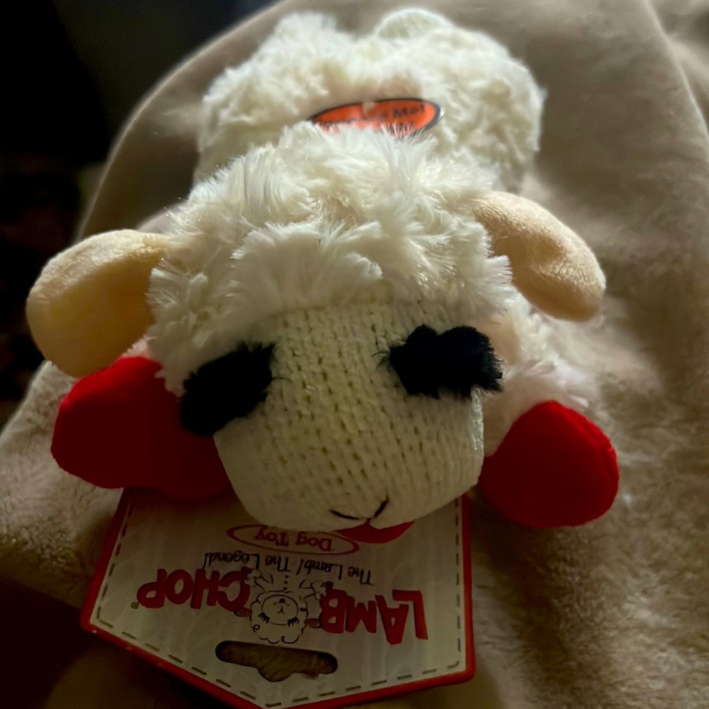 Medium size Lamb Chop a dog's favorite toy!!!